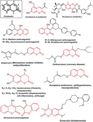 Coumarin-1,2,3-triazole hybrids as leading-edge anticancer agents